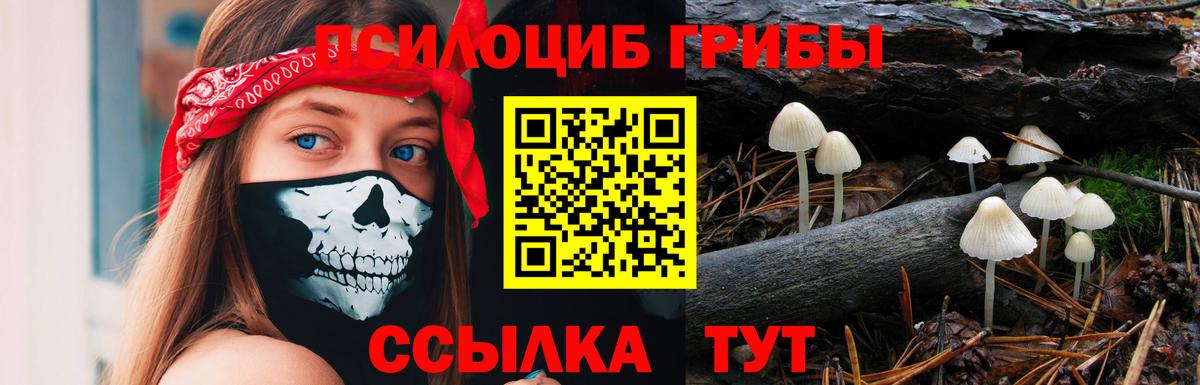 Псилоцибиновые грибы мухоморы Нефтеюганск